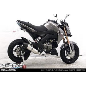 ウイルズウィン WirusWin ウイルズウィン 1732-59-04 ロイヤルマフラー/ユーロ フルEX Z125 PRO WirusWin