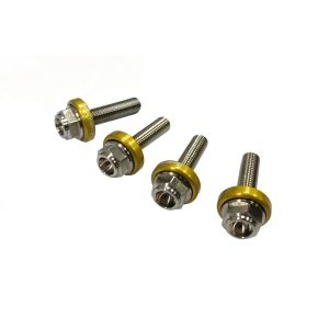 バイカーズ BIKERS バイカーズ C0409-LGD スクリーン用 ステンレスボルト ライトゴールド ADV160 23-24 Z900 20-24 Z650 20-25 X-ADV 17-22