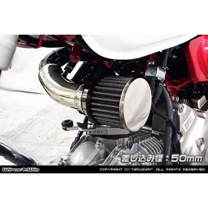 ウイルズウィン WirusWin ウイルズウィン 2124-02-02 パワーフィルターKIT 差込み径50mm モンキー125 2BJ-JB02 WirusWin