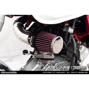ウイルズウィン WirusWin ウイルズウィン 2124-02-01 パワーフィルターKIT 差込み径38mm モンキー125 2BJ-JB02 WirusWin