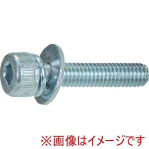 トラスコ中山 TRUSCO トラスコ中山 S270-0615 六角穴付組込ボルトP=3 三価白 M6X15 10本入り 
