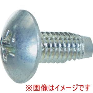 トラスコ中山 TRUSCO トラスコ中山 S420-0610 トラス頭タッピングねじ 3種溝付C1形 三価白 M6X10 30本入り 