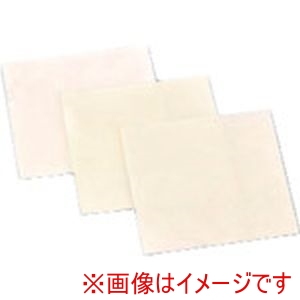 ナカニシ ナカニシ 56805 ダイヤフィルムシート 100×100×0.2 #1000