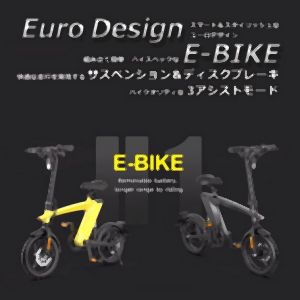 センター商事 センター商事 電動自転車 ブラック H1