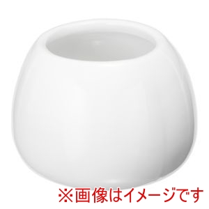 遠藤商事 TKG TKG NC白磁 玉形 楊枝入 ミニ Y-003 遠藤商事