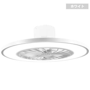  ヒロコーポレーション ヒロコーポ HLCF-550WH シーリングファンライト10畳用 ホワイト
