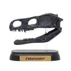 フェバリット フェバリット FDW-512 フクイベナートル スカル ミニモデル 73512