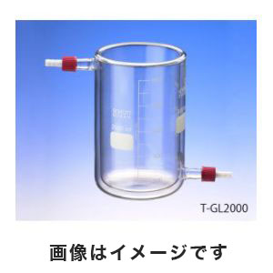アズワン  AS ONE アズワン 保温・保冷ビーカー 250mL 1-2155-01 T-GL250