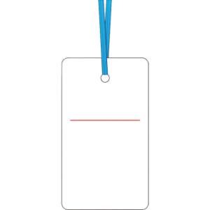 つくし工房 つくし工房 30-E ケーブルタグ 荷札式 白無地 両面印刷 ビニタイ付き