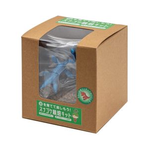 ビックアロー ビックアロー スナゴケ栽培キット