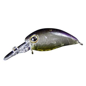 ティモン TIMON ティモン ちびパニクラ DR ダイゴマジョグロー