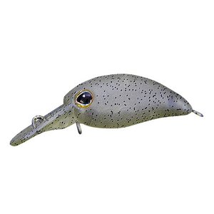 ティモン TIMON ティモン ちびパニクラ DR コブ茶