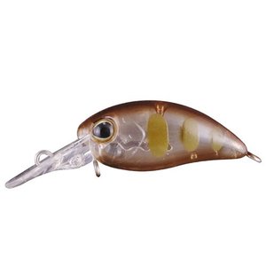 ティモン TIMON ティモン ちびパニクラ SR タッキーグローヤマメ