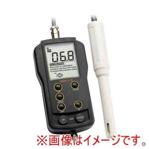 ハンナ ハンナ HI9813-51 多機能計 pH/EC/TDS/温度 HI-9813-51