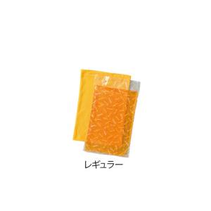 アズワン AS ONE アズワン 7-4569-02 プロシェア 冷やせるホットパック レギュラー