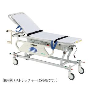 アズワン AS ONE アズワン 7-3077-01 ストレッチャーカバー 10枚入