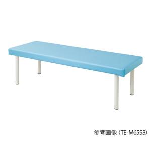 アズワン AS ONE アズワン 7-7495-01 カラフル診察台 ベッド高さ500mm スカイブルー 受注生産