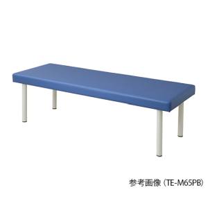 アズワン AS ONE アズワン 7-7499-02 カラフル診察台 ベッド高さ550mm ライトブルー 受注生産