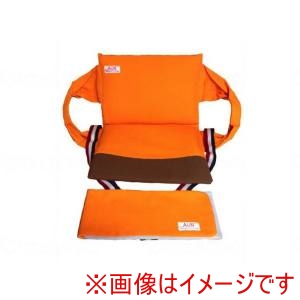 エナジーフロント エナジーフロント リフティ + ピーヴォ セット オレンジ メーカー直送 代引不可 北海道沖縄離島不可