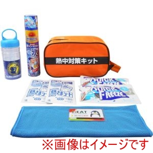 ブレイン ブレイン BR-810 熱中対策キット