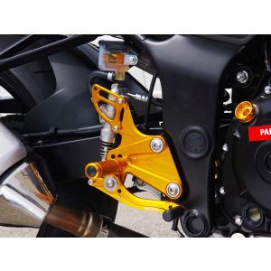 ベビーフェイス BabyFace ベビーフェイス 002-S015GD バックステップ/ゴールド 4P GSR750 11-16