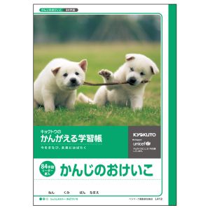 日本ノート 日本ノート L412 かんがえる学習帳 漢字練習 84字詰R