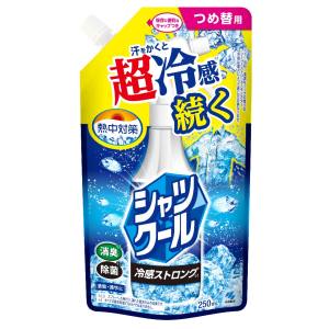 小林製薬 小林製薬 熱中対策 シャツクール 冷感ストロング 詰め替えパウチ 250mL
