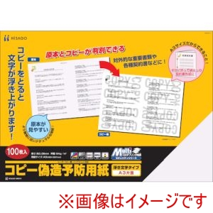 ヒサゴ HISAGO ヒサゴ BP2111 マルチプリンタ帳票 コピー偽造予防用紙 浮き文字タイプ A3片面