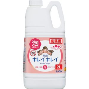 ライオン LION ライオン BPGHJ2F キレイキレイ薬用泡ハンドソープ フルーツミックスの香り2L