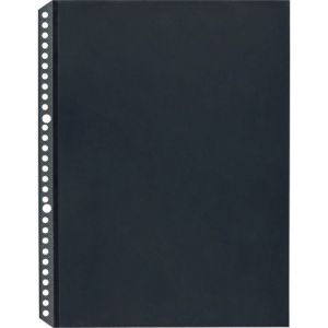 ライオン LION ライオン 14755 クリアーポケット CL-303TS