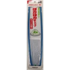 渡辺泰 渡辺泰 ぽかぽかキャップセット 5クミイリ 