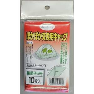 渡辺泰 渡辺泰 ぽかぽか交換用キャップ 10マイイリ 