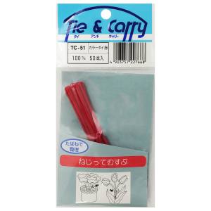 和気産業 和気産業 カラータイ 赤 50本入 100mm TC-051