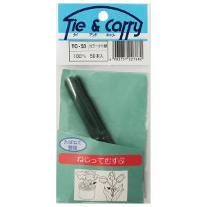 和気産業 和気産業 カラータイ 緑 50本入 100mm TC-053
