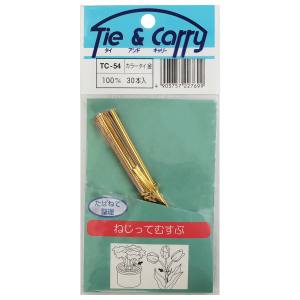和気産業 和気産業 カラータイ 金 30本入 100mm TC-054