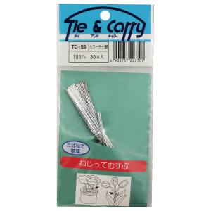 和気産業 和気産業 カラータイ 銀 30本入 100mm TC-055