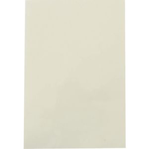 和気産業 WAKI 和気産業 WNT-001 シリコーン素材用両面シート 100×150mm