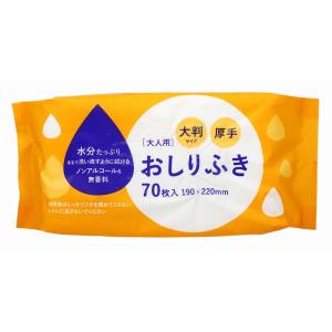 大和物産 大和物産 大人用 おしりふき 大判 70枚入