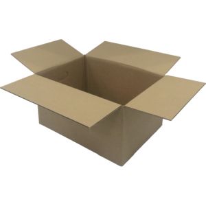 アイリスオーヤマ IRIS アイリスオーヤマ DB-M1 553531 段ボールBOX DB-M1 10個 メーカー直送 代引不可 北海道沖縄離島不可