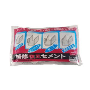 家庭化学工業 家庭化学工業 補修復元セメント 700g