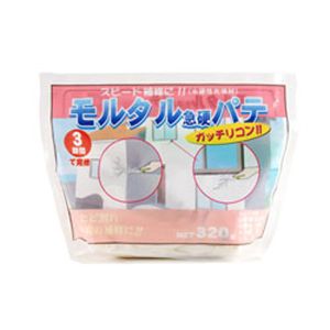 家庭化学工業 家庭化学工業 モルタル急硬パテ 320g
