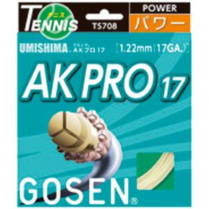 ゴーセン GOSEN ゴーセン ウミシマ AKプロ17 TS708NA GOSEN