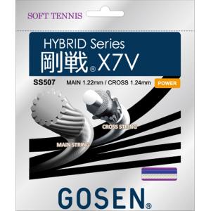 ゴーセン GOSEN ゴーセン 剛戦 X7V ロイヤルブルー SS507RB GOSEN