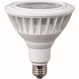 ハタヤリミテッド HATAYA ハタヤ LDR20L-W60 LED作業灯 20W交換球電球色ビームタイプ メーカー直送 代引不可 沖縄 離島不可