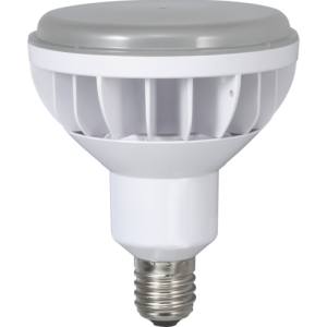 ハタヤリミテッド HATAYA ハタヤ LDR40N-H110 40WLED作業灯 交換球 メーカー直送 代引不可 沖縄 離島不可