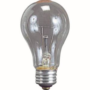ハタヤリミテッド HATAYA ハタヤ TD-100 耐振電球100W ILI、KL型用