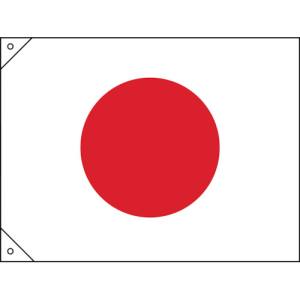 日本緑十字社 緑十字 250043 日章旗 日の丸 700×1050mm 布製