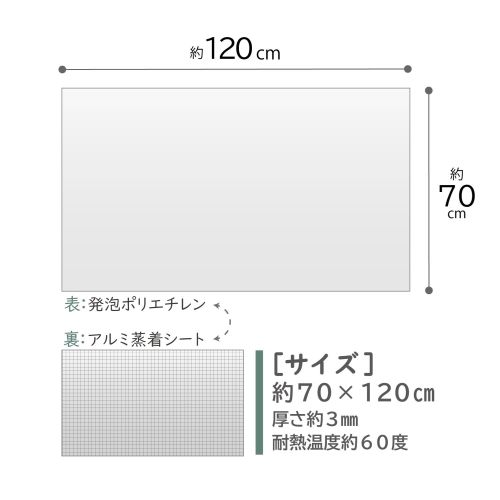  アストロ アストロ お風呂ぬくぬく 保温アルミシート 139-20