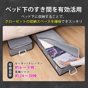 アストロ アストロ 活性炭 ベッド下 保存ケース 171-44