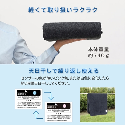  アストロ アストロ 消臭炭入ドライ&ドライ吸湿防ダニマット シングル 615-01